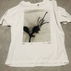 Zara Off-White Casual Tee